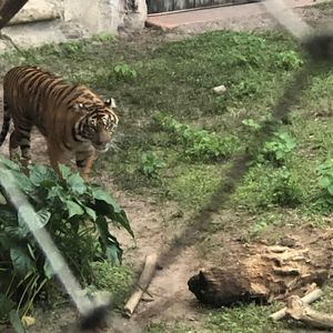 Meet your Posher, Kenneth